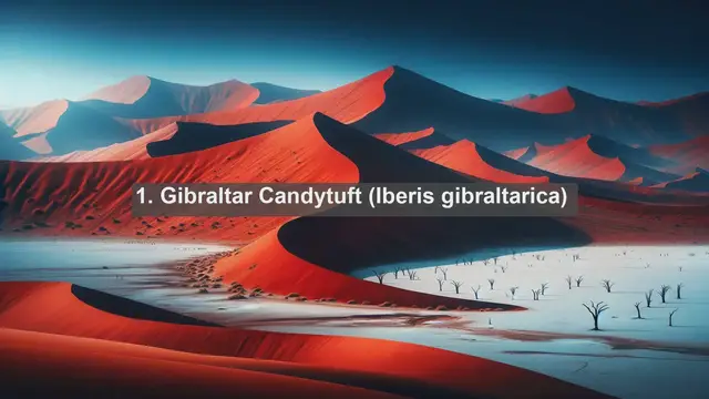 Video thumbnail for Exploring Gibraltar's Botanical Gems: Top 10 Native Plants