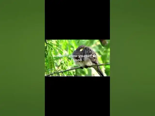 Video thumbnail for Give when someone is in need.