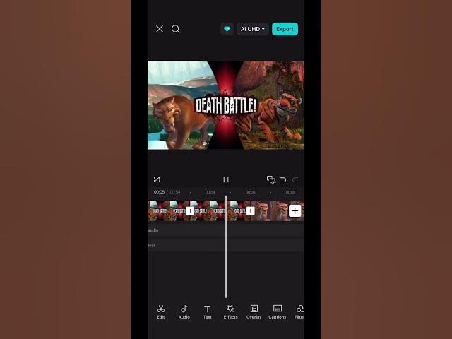 Video thumbnail for Diego vs. Amur | @patrickbell7035