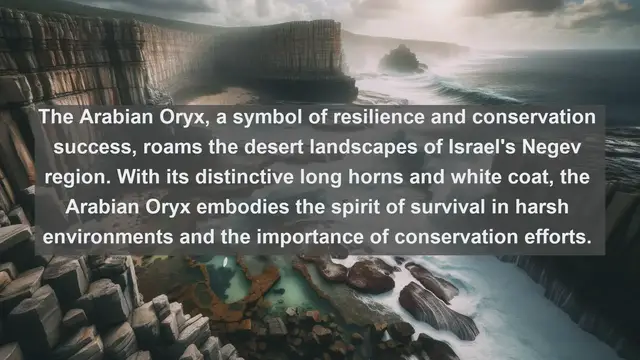 Video thumbnail for Top 10 native fauna in Israel