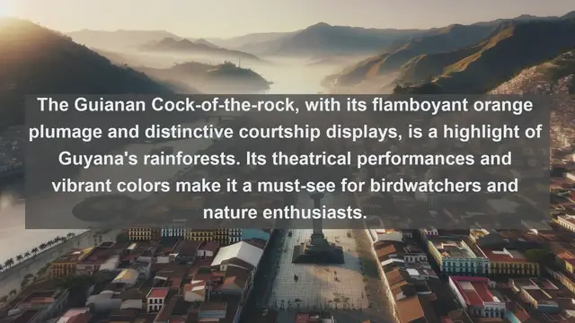 Video thumbnail for Top 10 native birds in Guyana