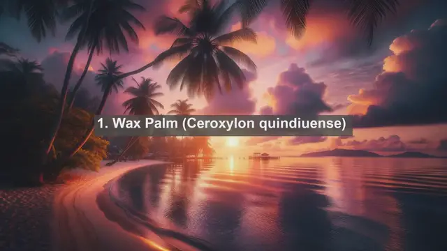 Video thumbnail for Unveiling Colombia's Botanical Treasures: Top 10 Native Plants Revealed