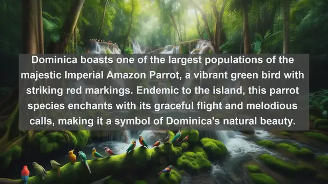 Video thumbnail for Discover Dominica's Natural Treasures: Top 10 Native Animals