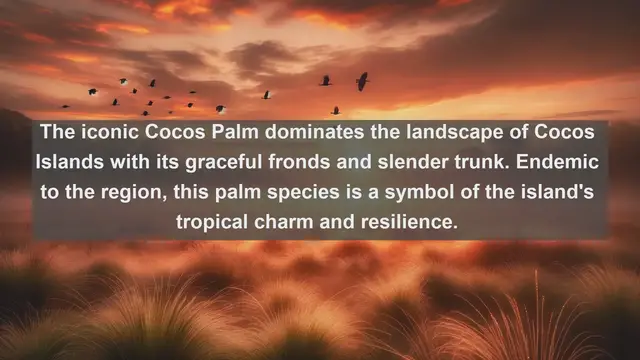 Video thumbnail for Exploring the Natural Jewels: Top 10 Native Flora of Cocos Islands