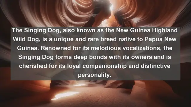 Video thumbnail for Exploring Papua New Guinea's Pet Paradise: Top 10 Beloved Companions Revealed!