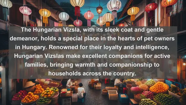 Video thumbnail for Exploring Hungary's Most Beloved Pets: Top 10 Favorites Unveiled