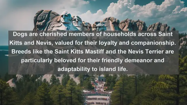 Video thumbnail for Island Pet Paradise: Top 10 Favorite Pets in Saint Kitts and Nevis Unveiled