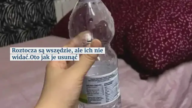 Video thumbnail for Roztocza są wszędzie, ale ich nie widać. Oto jak je usunąć
