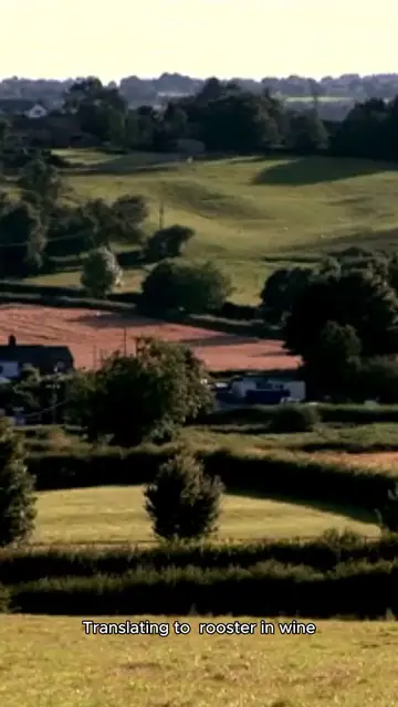 'Video thumbnail for Coq au Vin (France)'
