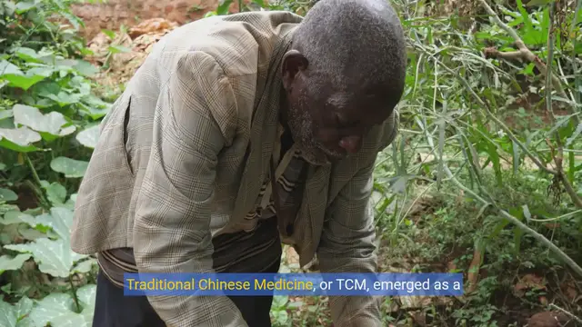 Video thumbnail for Healing Harmonies: The Power of Traditional Chinese Medicine