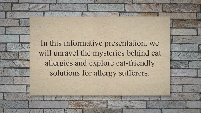 Video thumbnail for Cat Allergies Unraveled: Debunking Myths and Discovering Cat-Friendly Solutions
