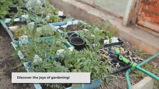 Video thumbnail for Beginner's Guide: How to Start Gardening