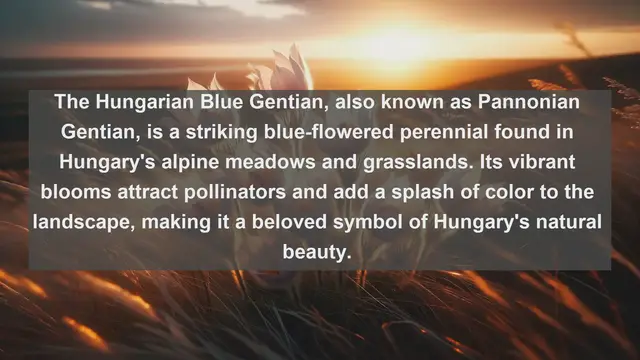 Video thumbnail for Exploring Hungary's Natural Beauty: Top 10 Native Plants You Need to Know
