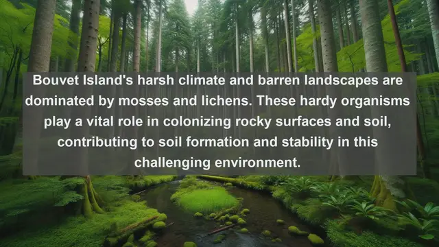 Video thumbnail for Unveiling Bouvet Island's Unique Flora: Top 10 Native Plants