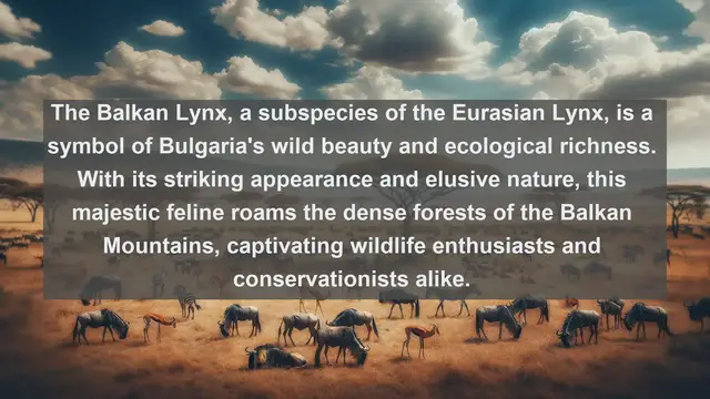 Video thumbnail for Top 10 native fauna in Bulgaria