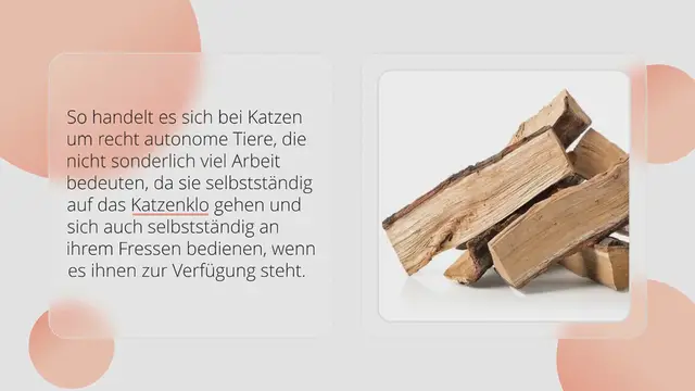 Video thumbnail for Eine Katzenklappe einbauen