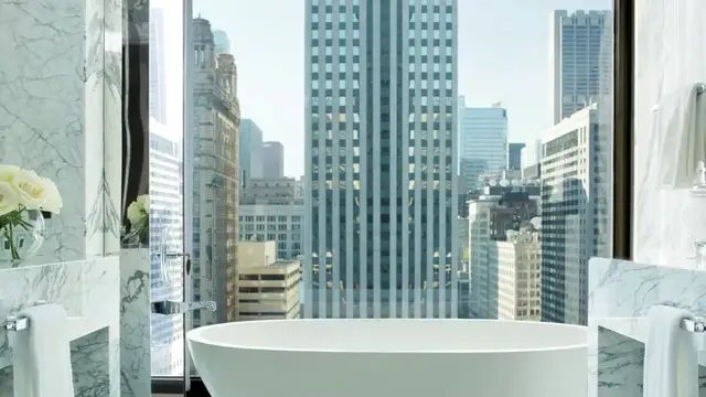 Video thumbnail for Top 10 Best Hotels to Visit in Chicago_ Illinois _ USA - English(720P_60FPS)