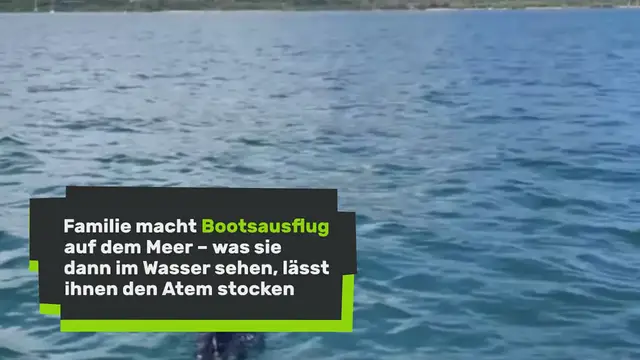 Video thumbnail for Familie macht Bootsausflug auf dem Meer – was sie dann im Wasser sehen, lässt ihnen den Atem stocken
