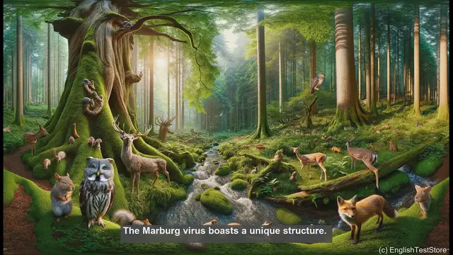 Video thumbnail for Marburg virus in biology