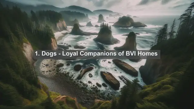 Video thumbnail for Exploring the British Virgin Islands' Top 10 Favorite Pets: Your Guide to Furry Friends!