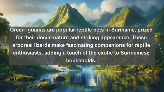 Video thumbnail for Exploring Suriname's Pet Paradise: Top 10 Favorite Pets in the Heart of South America