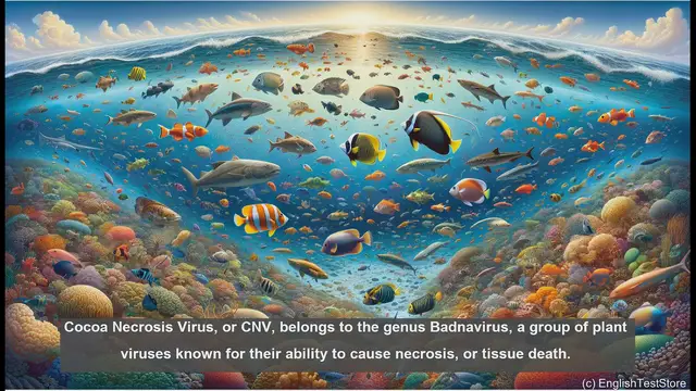 Video thumbnail for Cocoa necrosis virus in biology