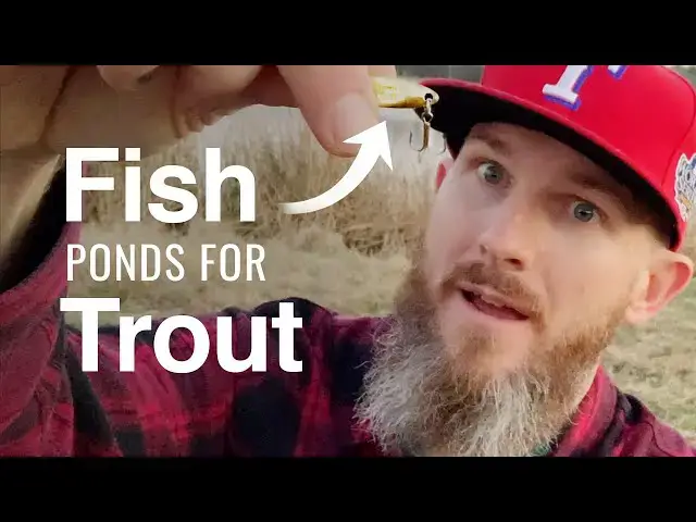Video thumbnail for How to Fish Ponds for Stocked Rainbow Trout