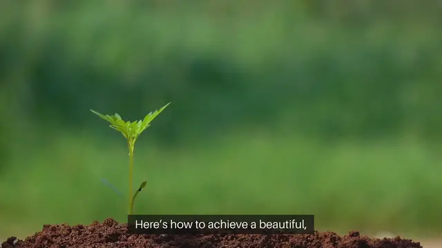 Video thumbnail for How To Design A Low-Water Landscape