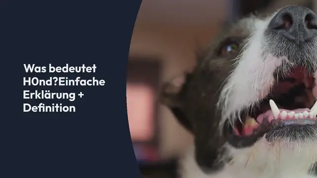 Video thumbnail for Was bedeutet H0nd? Einfache Erklärung + Definition