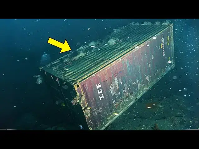 'Video thumbnail for Robotic Diver Discovers Sunken Container – What’s Inside Leaves Everyone Speechless'