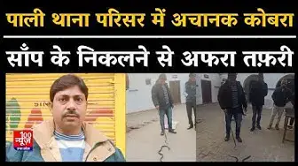 Video thumbnail for Hardoi News: पाली थाना परिसर में अचानक कोबरा साँप के निकलने से अफरा तफ़री । BREAKING । UP News