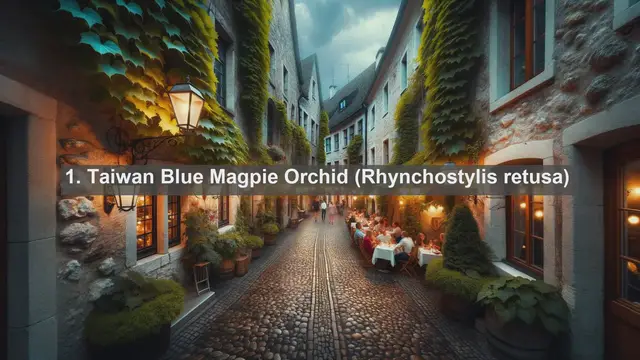 Video thumbnail for Exploring Taiwan's Natural Wonders: Top 10 Native Plants You Need to Know