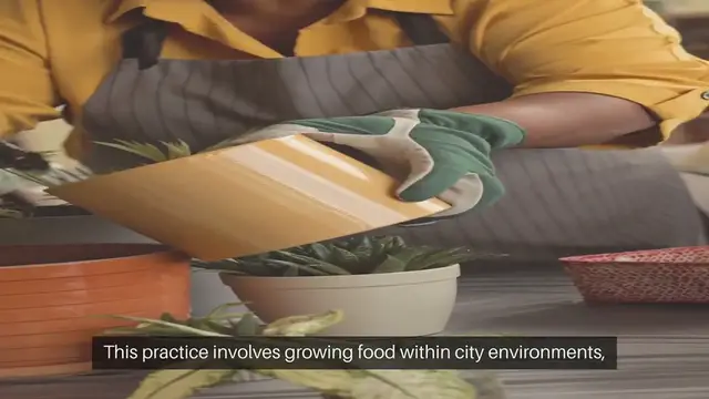 Video thumbnail for Urban Farming Techniques