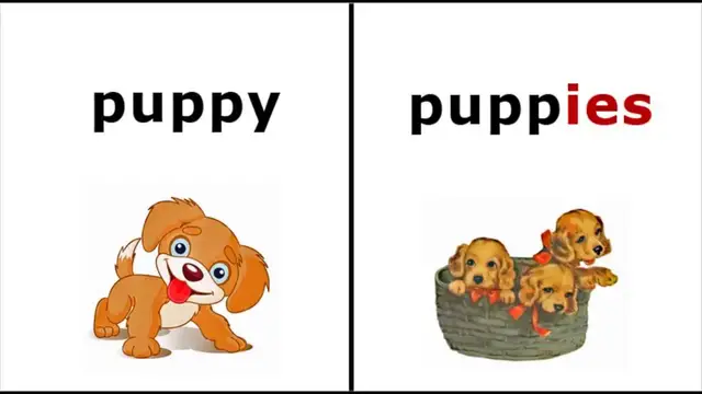 'Video thumbnail for How to form the plural in English'
