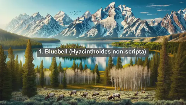 Video thumbnail for Exploring Britain's Botanical Wonders: Top 10 Native Plants of the United Kingdom