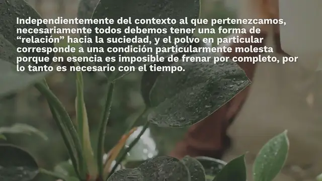 Video thumbnail for Cómo eliminar rápidamente el polvo: aquí están los trucos más efectivos