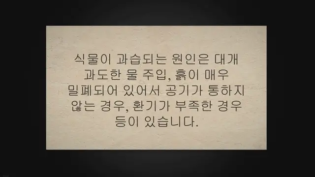 Video thumbnail for 죽어가는 뿌리 썩은 식물 살리기 노하우 공개해요!