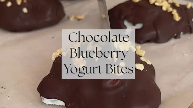 Video thumbnail for Chocolate Blueberry Yogurt Bites