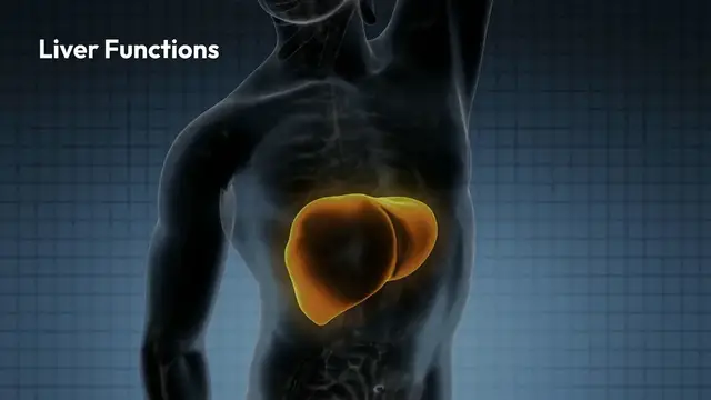 Video thumbnail for Top_Foods_for_Liver_Health