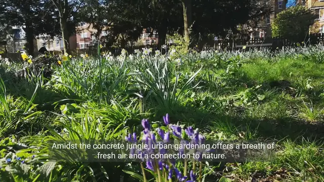 Video thumbnail for Green Spaces in Cities - The Urban Gardening Movement