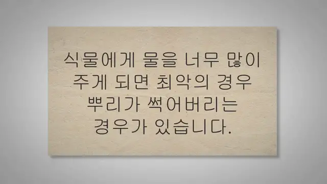 Video thumbnail for 식물 과습 증상이 보이면 어떻게 해야 할까요?