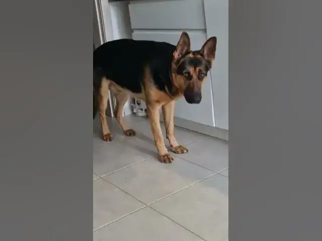 Video thumbnail for Do you have something that belongs to me?