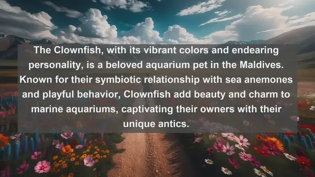 Video thumbnail for Unveiling the Maldives' Most Beloved Companions: Top 10 Favorite Pets Revealed