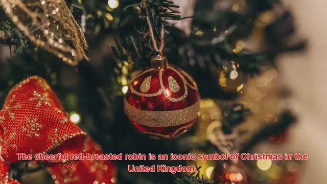 Video thumbnail for Why Is The Robin Associated With Christmas In The UK?