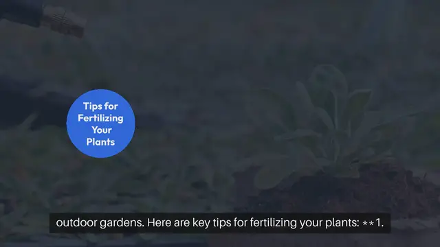 Video thumbnail for Outdoor Gardening Tips for Fertilizing Plants