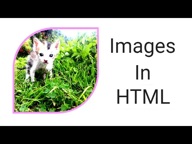 'Video thumbnail for How to Insert Image in HTML using Notepad Step By Step'