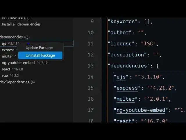 Video thumbnail for NPM Editor in VSCode IDE to Run & Manage Packages & Run Scripts Automatically