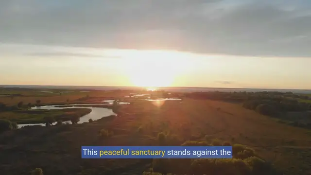 Video thumbnail for Comic Relief with Unwanted Greenery: Joking About Persistent Plants