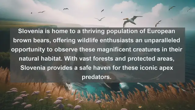 Video thumbnail for Discovering Slovenia's Wildlife Treasures: Top 10 Native Animals