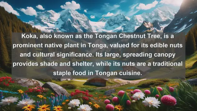 Video thumbnail for Exploring Tongan Biodiversity: Top 10 Native Plants of Tonga